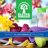 tavaszi alakformalo program k